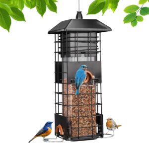 Squirrel Proof Bird Feeder