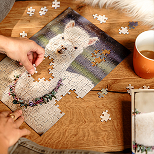 Ravensburger jigsaw puzzle
