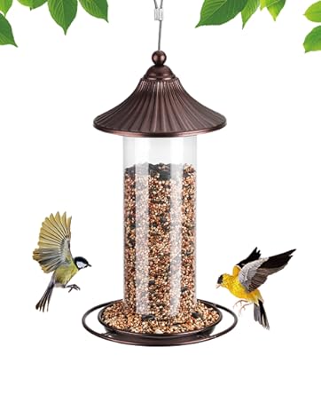 bird feeder