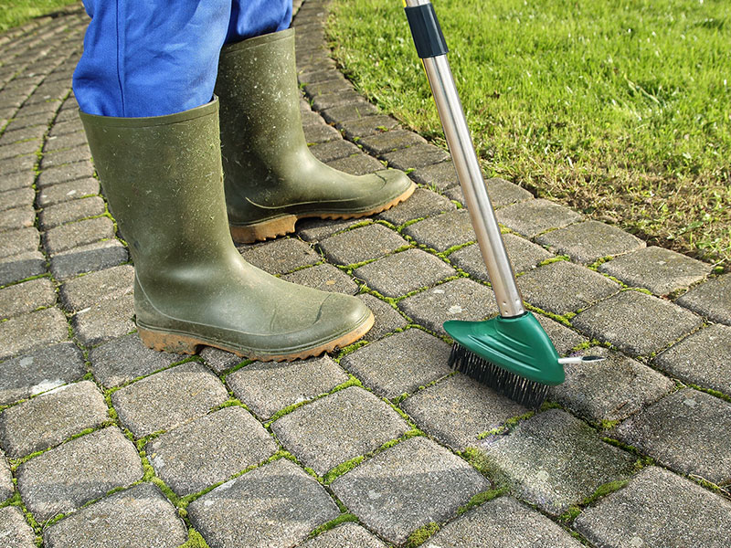 roof cleaning brush