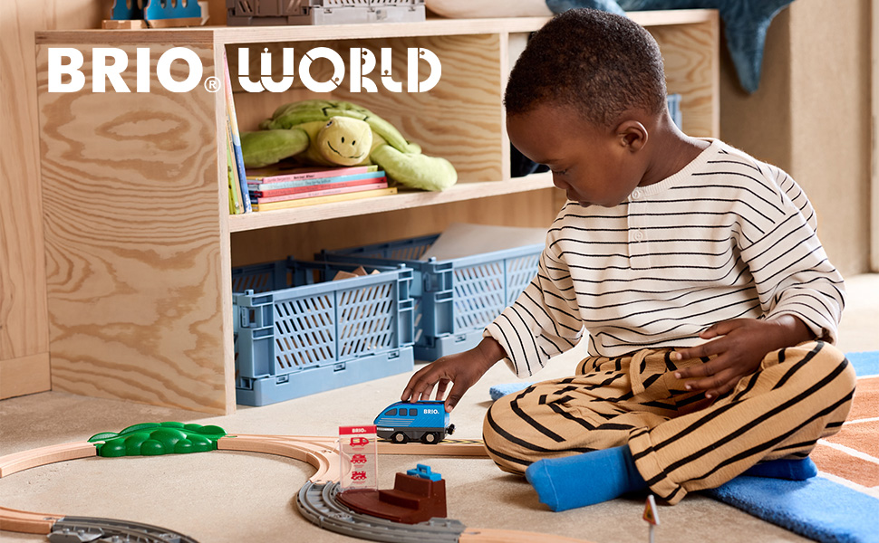 BRIO 36019