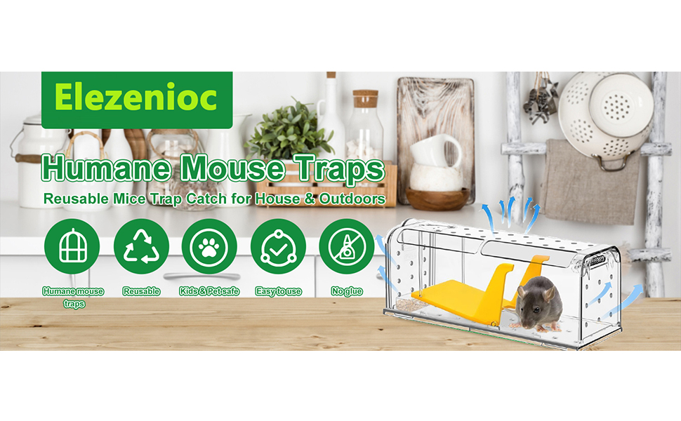 mouse trap