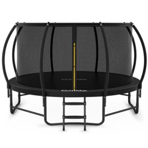 CalmMax 10FT/305CM Trampoline with Enclosure Net Ladder Indoor/Outdoor Trampoline for Kids Toddler - ASTM Approval