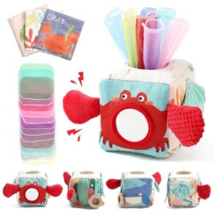 Baby Sensory Tissue Box Toy