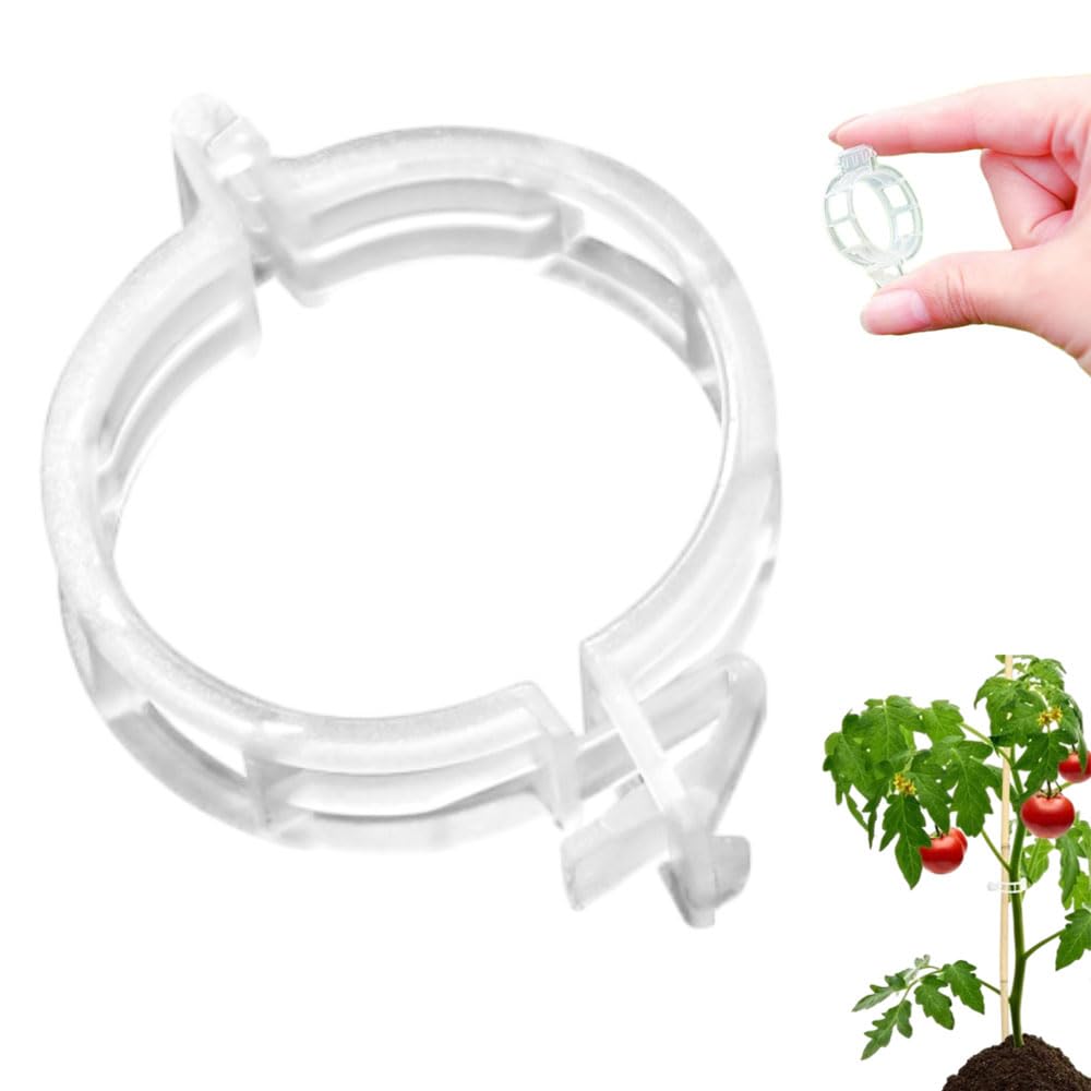 Plant Supports for Outdoor Plants