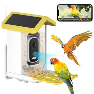 Bird Feeder With Camera