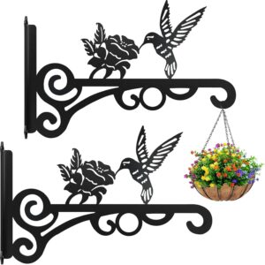 2 Packs Iron Plant Hanger