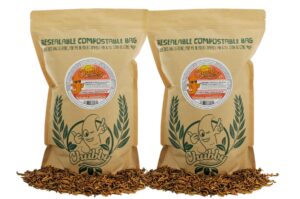 Chubby Mealworms EU Grown Refill Bag (2Kg)
