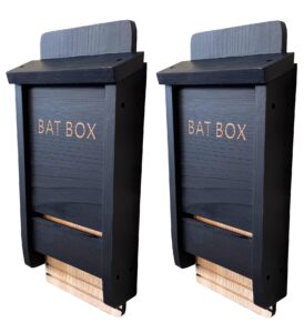 Black Wooden Bat Nesting Roosting Box (Pack of 2)