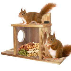 Squirrel Feeder with Lift-Up Lid
