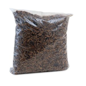 Dried Calciworms for garden birds