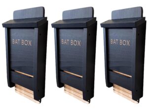 Black Wooden Bat Nesting Roosting Box (Pack of 3)