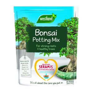 Westland 10200055 Bonsai Potting Compost Mix and Enriched with Seramis