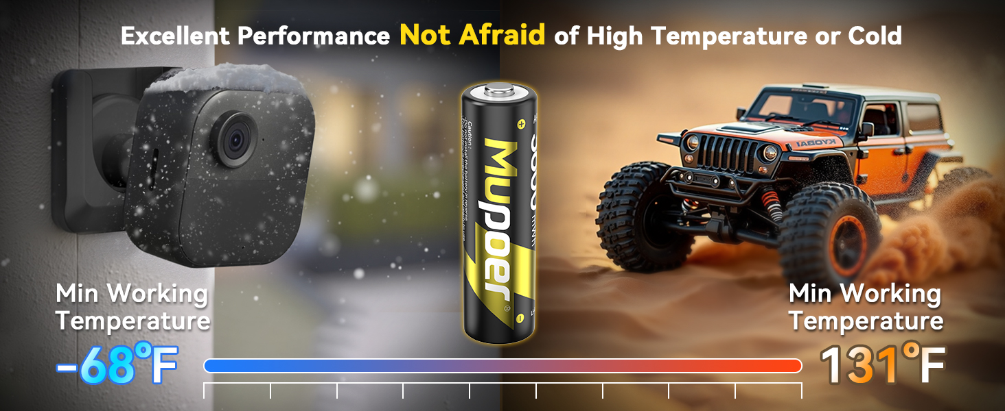 aa lithium batteries for blink camera