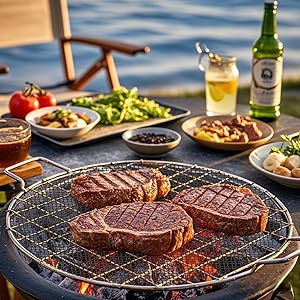 BBQ Grill Mesh