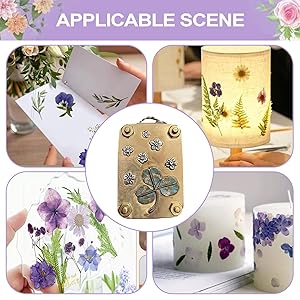 Boost Nature's Beauty