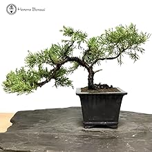 pruning shears heavy duty