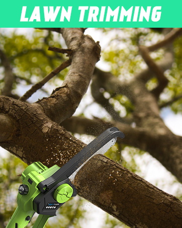 Cordless Pole Saw 8