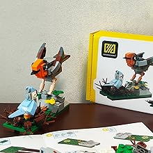 Bird Blocks, Gifts Toys.