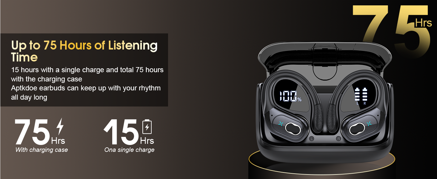 Bluetooth Headphones