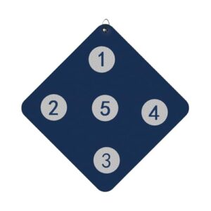 Fencing Target Practice