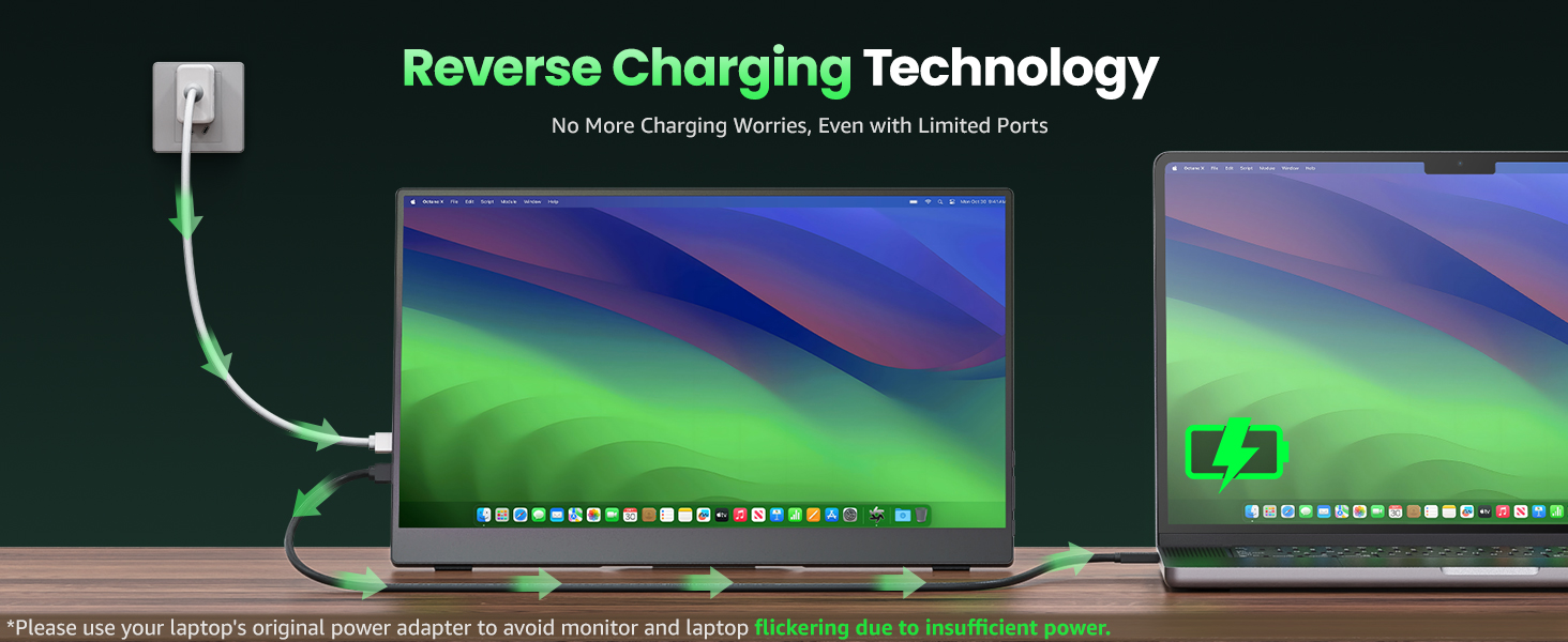 portable monitorr