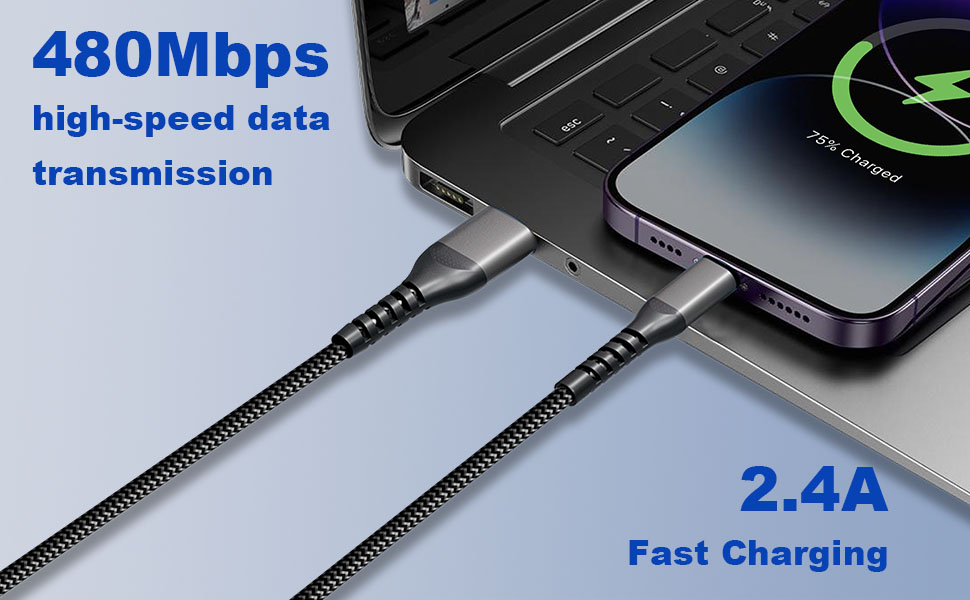 iPhone Charger Cable