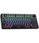 EPOMAKER x AULA F65 65% Wireless Mechanical Keyboard, Gasket Custom Gaming Keyboard Hot Swap with...