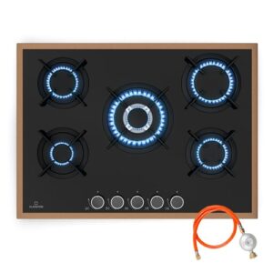 Klarstein Lumiflame Gas Hob