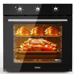 Hobsir hob 60cm Built-In Electric Oven with 60L Capacity & 6 Functions | 250℃ High-Temperature Cooking