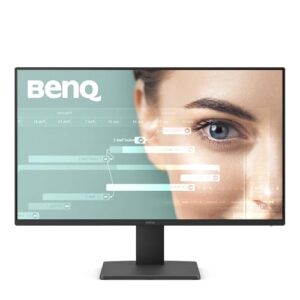 BenQ GW2491 23.8” 1080p FHD 100Hz IPS Eye-Care Monitor