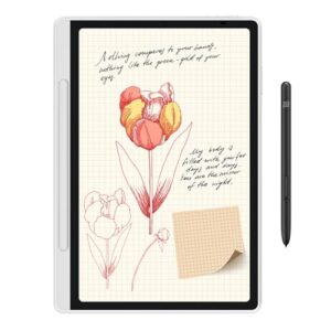 XPPen Magic Note Pad with 10.9" Color Display