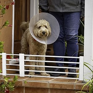 [ Exquisite Workmanship ] Short