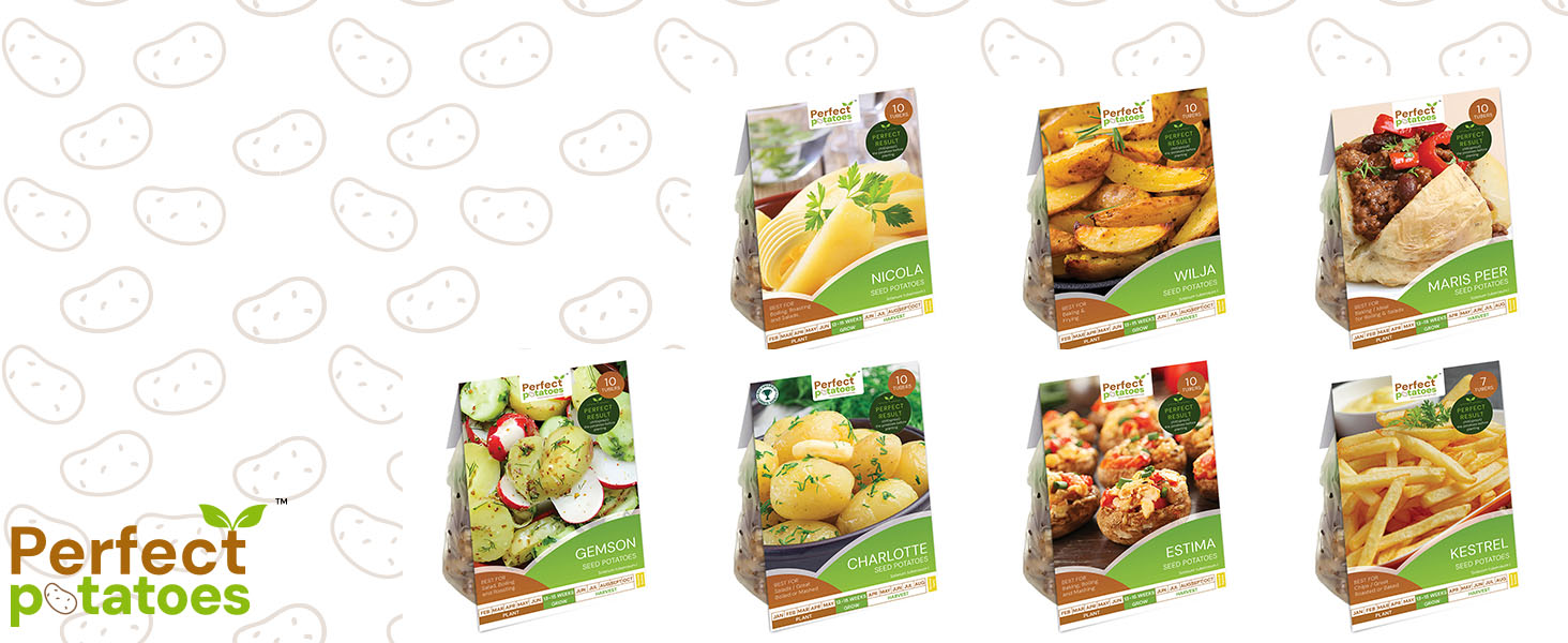 Second Early Potaotoes