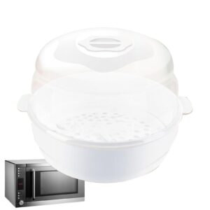 Microwave Steam Steriliser