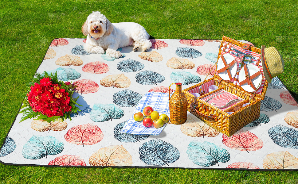 Extra Large Picnic Blanket