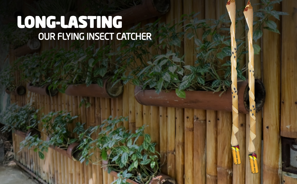 Flying Insect Catcher