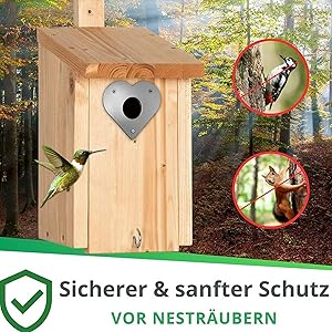 Keep Young Birds Safe