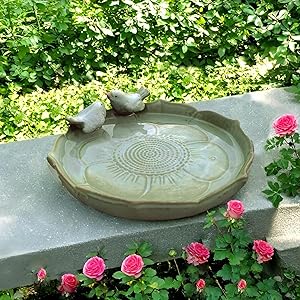 Natural Landscape Companion