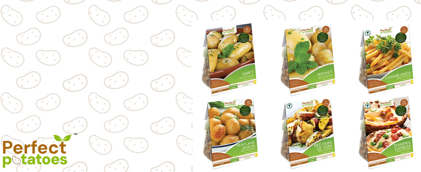 First Early Potaotoes