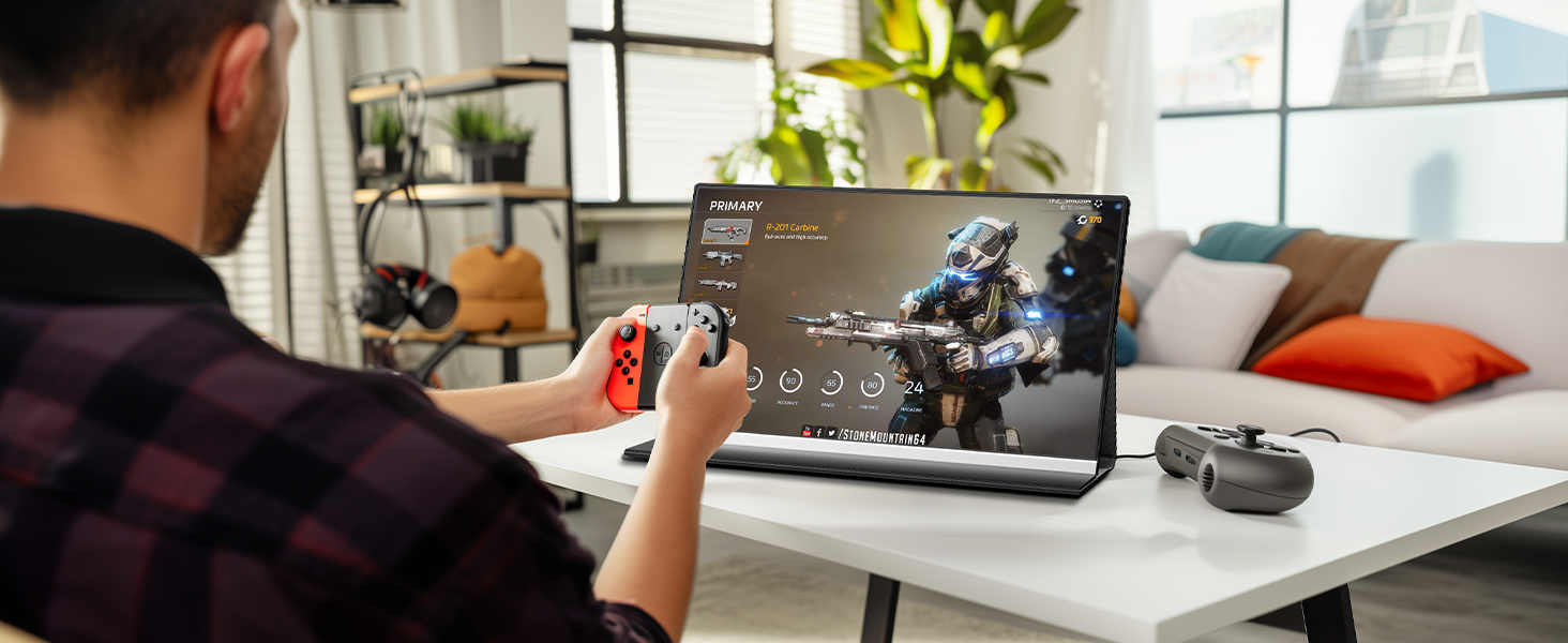 portable screen