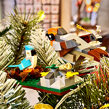Bird Blocks, Gifts Toys.