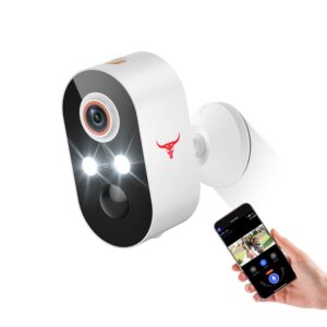 Blazique 1080p Security Camera