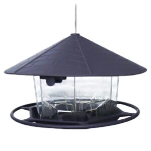 Wild Bird Feeders | Automatic Feeding Dish for Parakeets | Large Capacity Bird Feeder with Perch for Parrot Parakeet Canary Cockatiel Finch