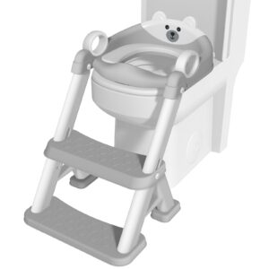 Potty Training Toilet Seat