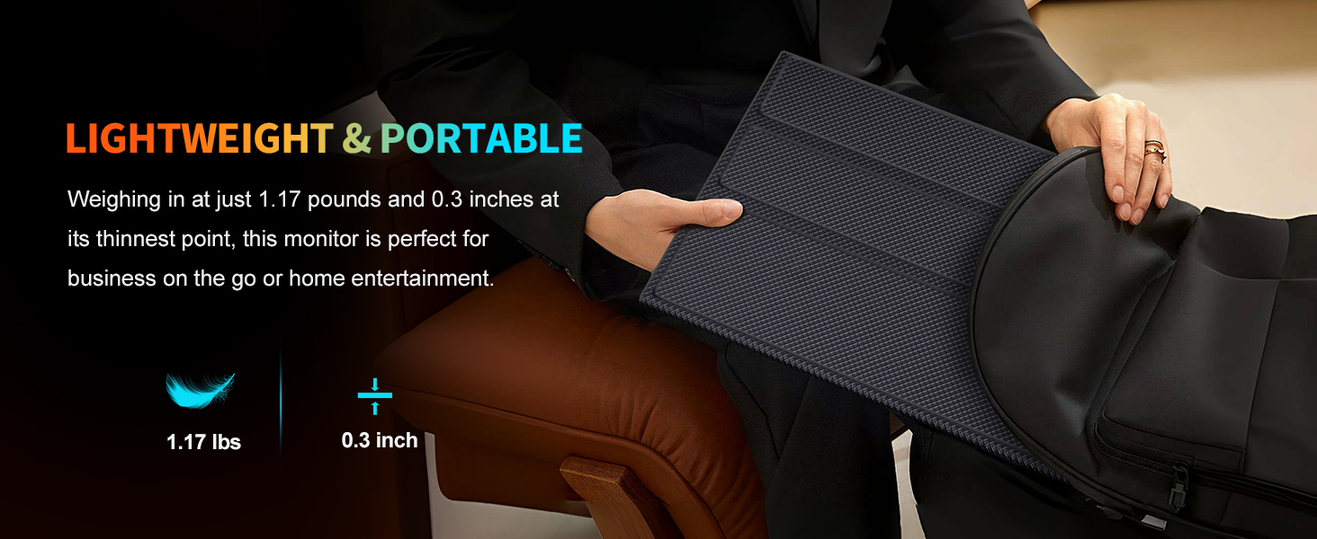portable screen