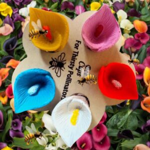 5 Color Drinking Cup for Bees