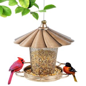 Bird Feeder Hanging