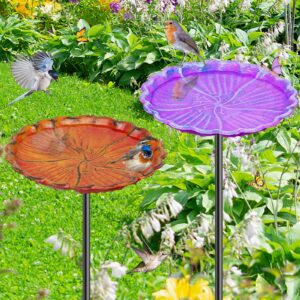 MeyRolizn 2PCS Metal Flower Bird Bath for Outside