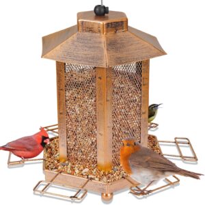 Bird Feeder
